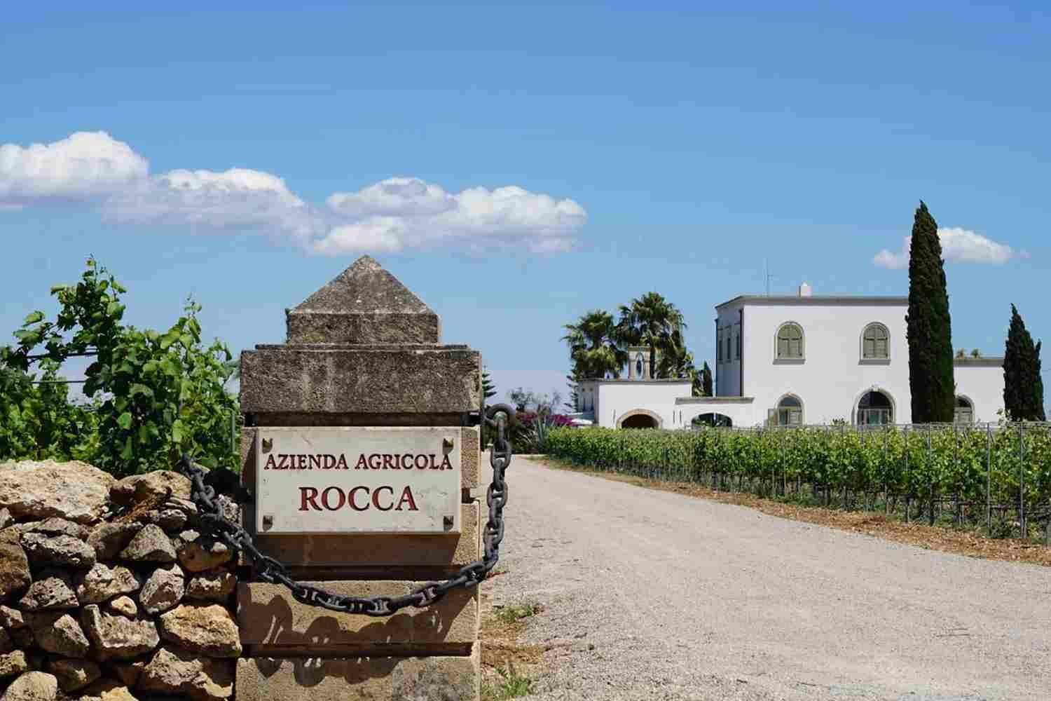 Emmanuele Rocca fala sobre a Puglia, seus vinhos e Susumaniello